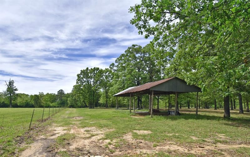 599 County Road 1260, Quitman TX 75783 - Photo 6