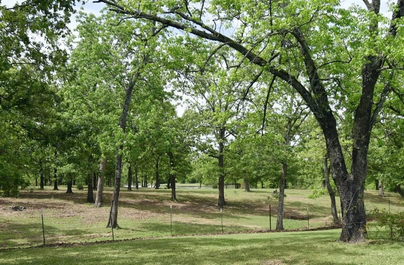 599 County Road 1260, Quitman TX 75783 - Photo 7