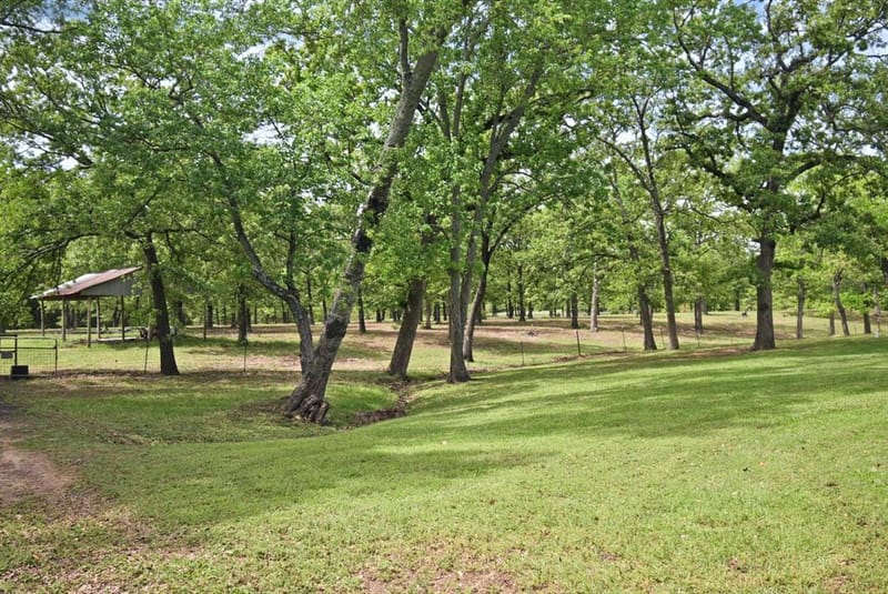 599 County Road 1260, Quitman TX 75783 - Photo 5