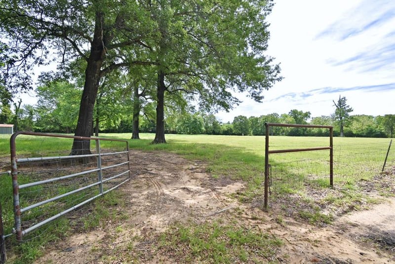 599 County Road 1260, Quitman TX 75783 - Photo 4