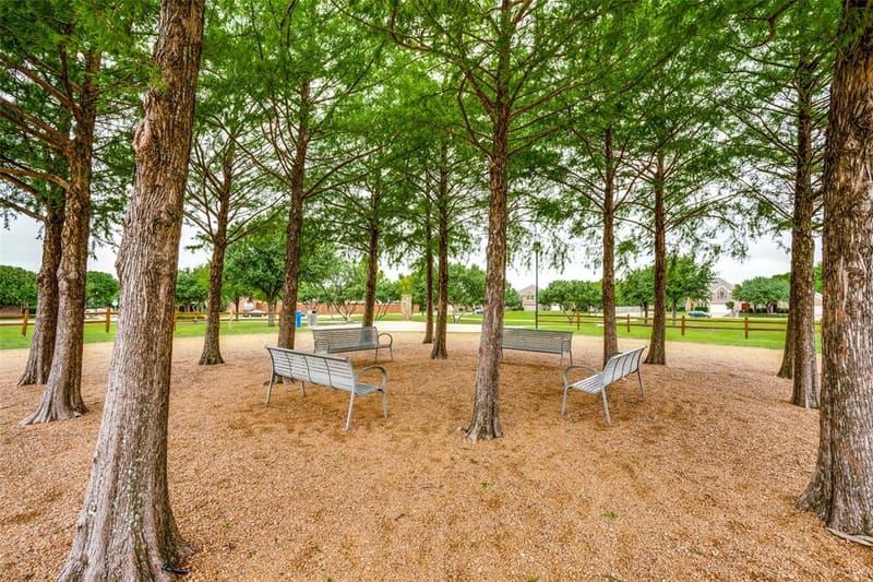 12047 Del Rio, Frisco TX 75035 - Photo 28