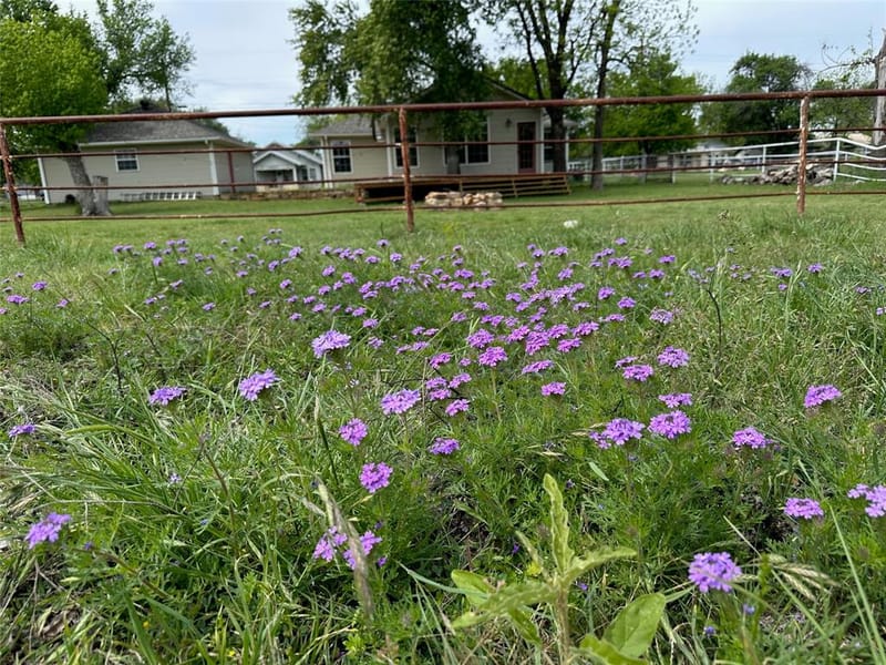1308 Willis Street, Brownwood TX 76801 - Photo 32