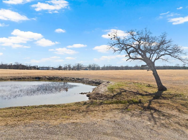 236 County Road 2391, Pickton TX 75471 - Photo 35