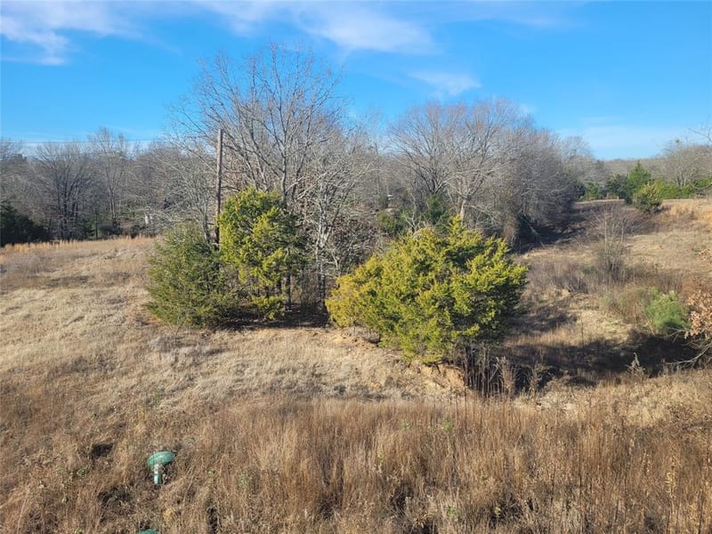261 Private Road 5182, Quitman TX 75783 - Photo 14