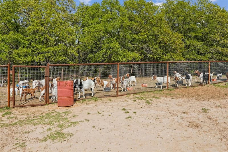 1406 N Johnson Loop, Montague TX 76251 - Photo 26