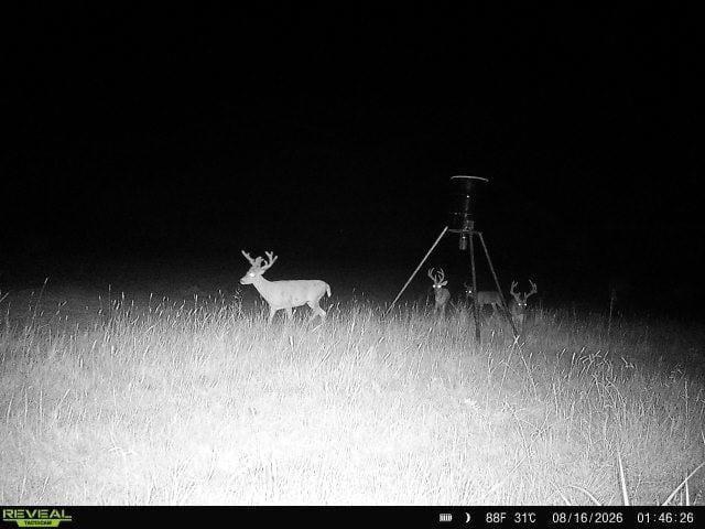 6634 Tim Donald Road, Justin TX 76247 - Photo 7