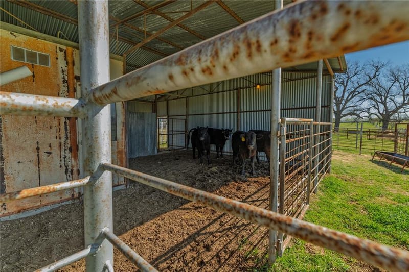 6634 Tim Donald Road, Justin TX 76247 - Photo 35