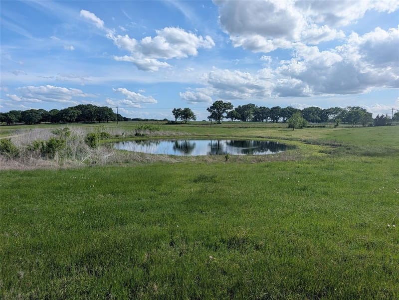21855 S Fm 148, Kemp TX 75143 - Photo 37