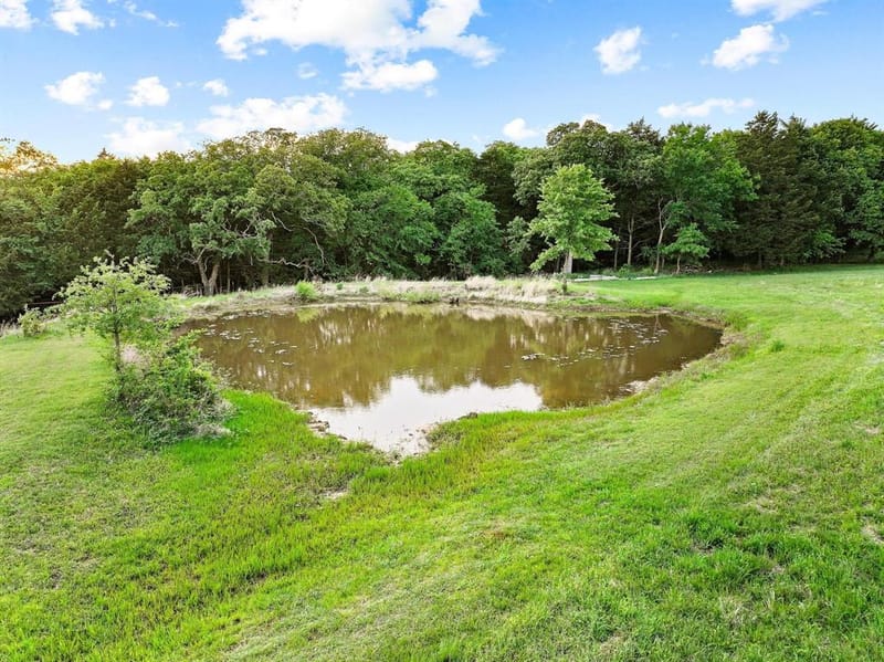 642 Earl Road, Sadler TX 76264 - Photo 32