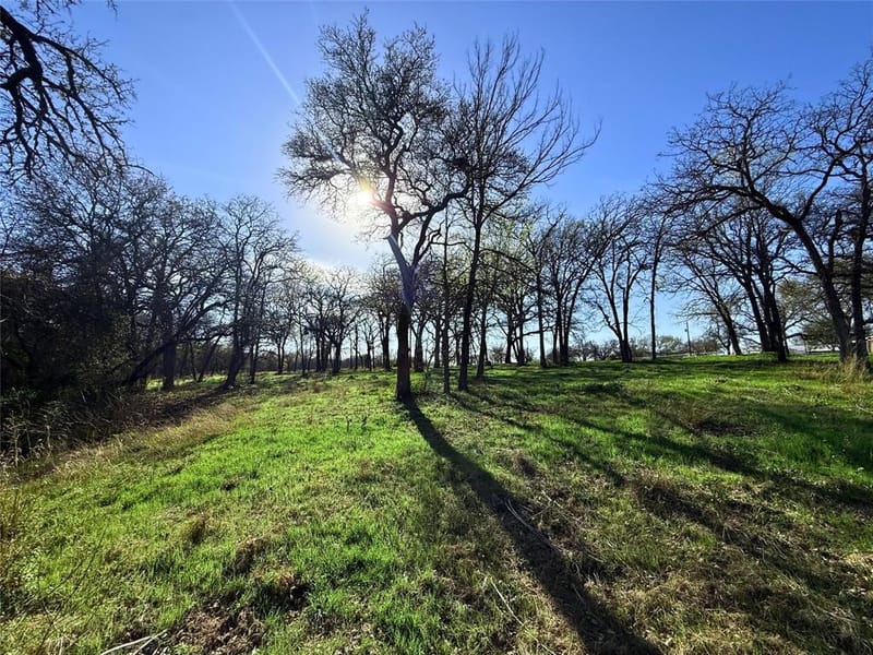 2196 Old Agnes Road, Weatherford TX 76088 - Photo 32