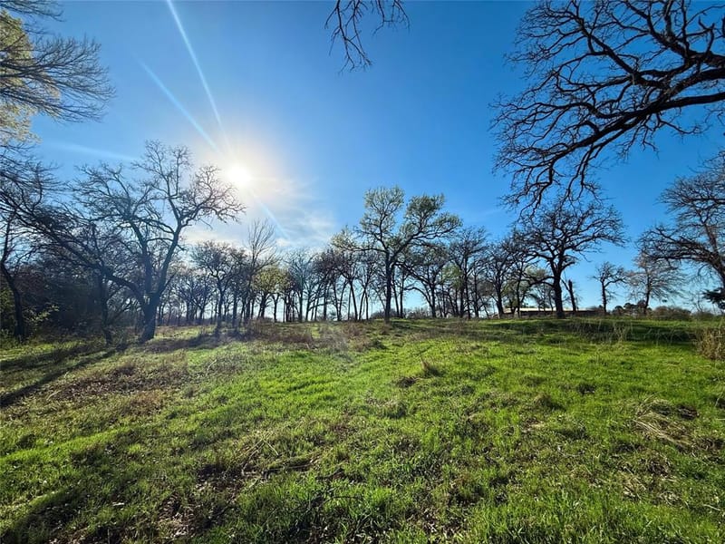 2196 Old Agnes Road, Weatherford TX 76088 - Photo 31