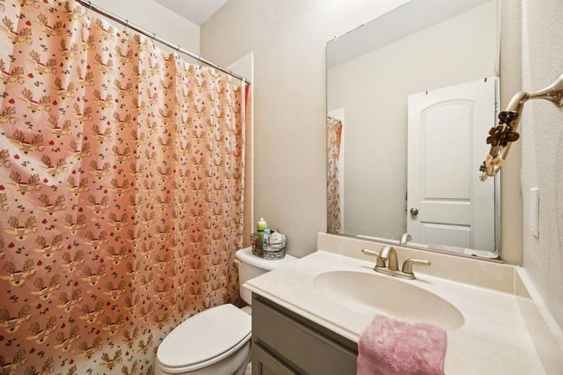 2564 Chambers Drive, Lewisville TX 75067 - Photo 12