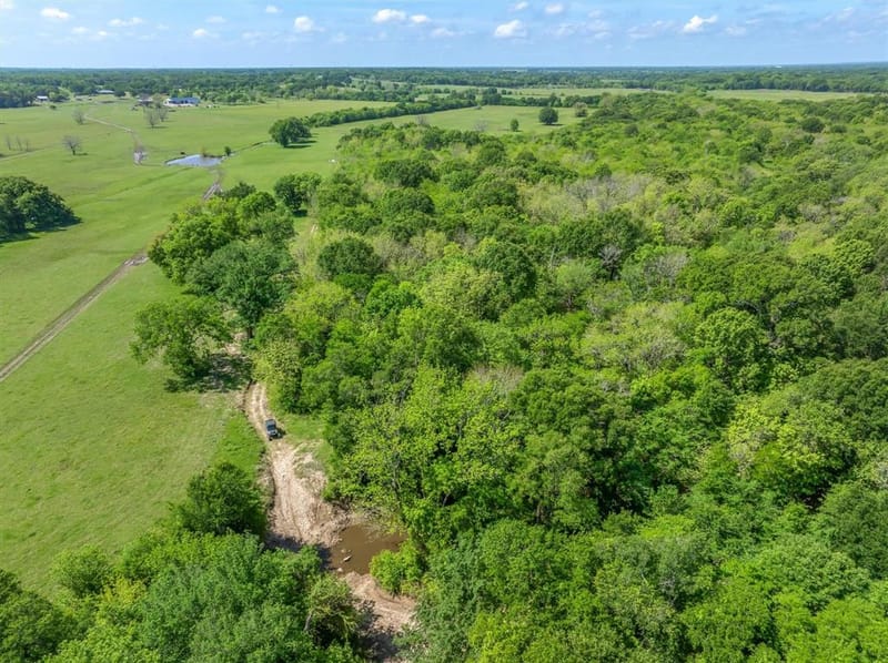 1189 VZ County Road 3702, Edgewood TX 75117 - Photo 40