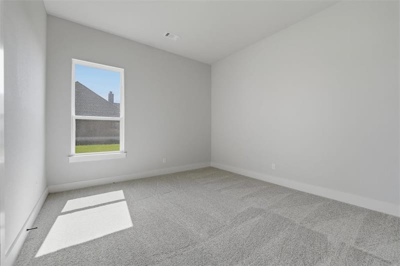 12421 Hornfels Drive, Krum TX 76249 - Photo 19
