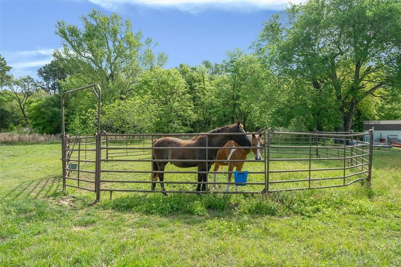 891 County Road 4740, Winnsboro TX 75494 - Photo 28