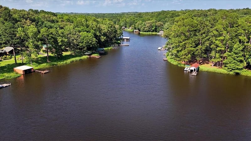 1027 County Road 3230, Quitman TX 75783 - Photo 29