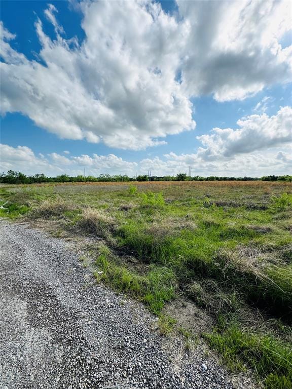 16547 State Highway 205, Terrell TX 75160 - Photo 4