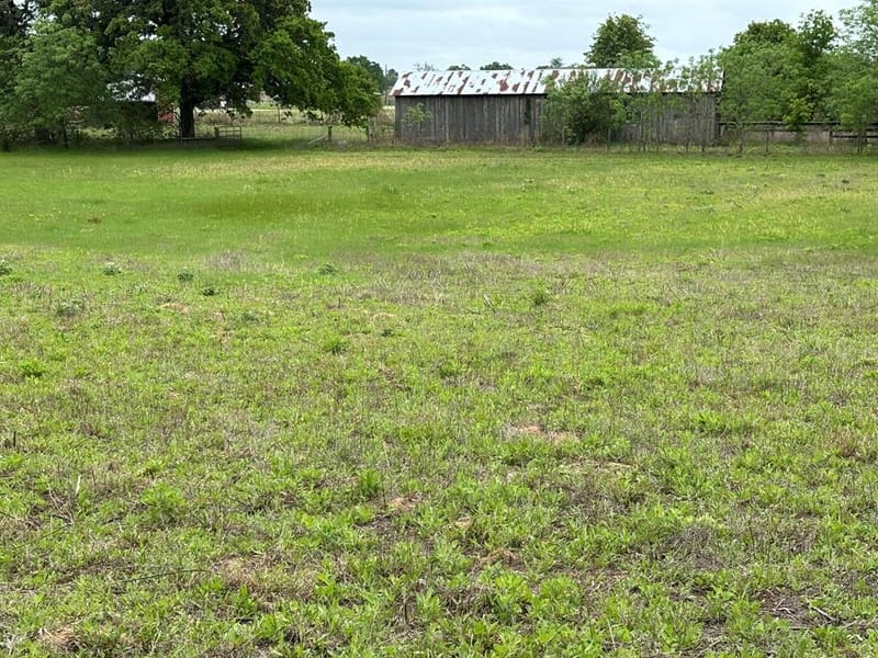 14070 County Road 3520, Brownsboro TX 75756 - Photo 36