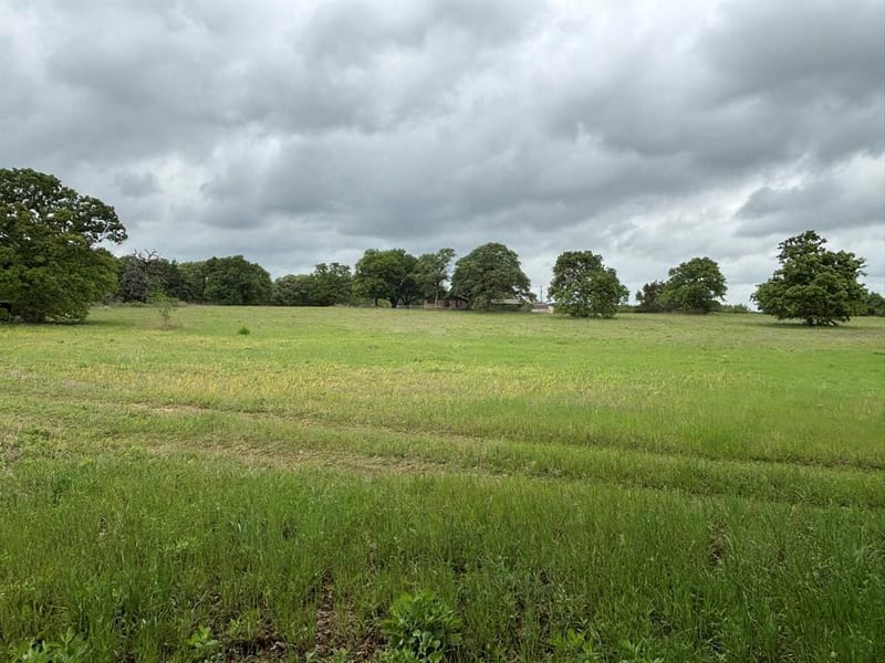 14070 County Road 3520, Brownsboro TX 75756 - Photo 32