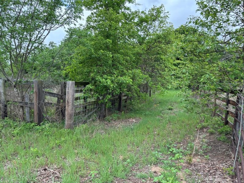 14070 County Road 3520, Brownsboro TX 75756 - Photo 34