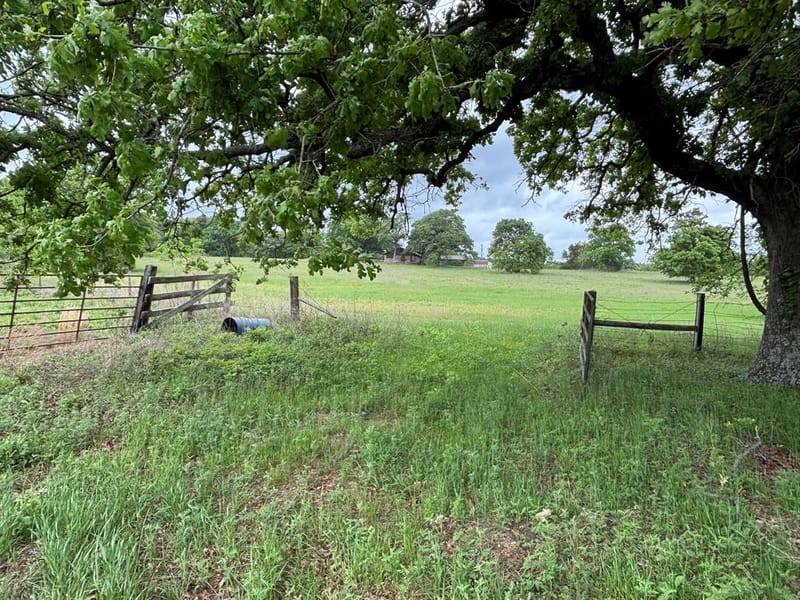 14070 County Road 3520, Brownsboro TX 75756 - Photo 38