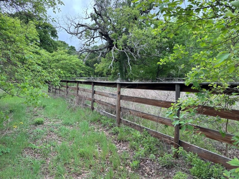 14070 County Road 3520, Brownsboro TX 75756 - Photo 35