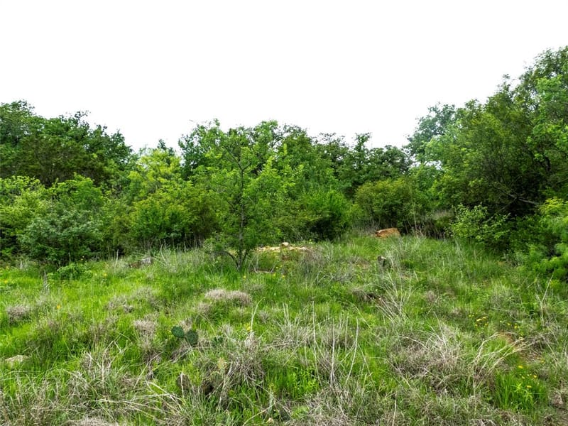12725 County Road 105, Brownwood TX 76801 - Photo 13