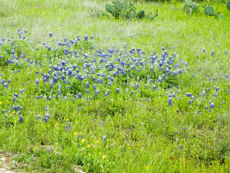 12725 County Road 105, Brownwood TX 76801 - Photo 17