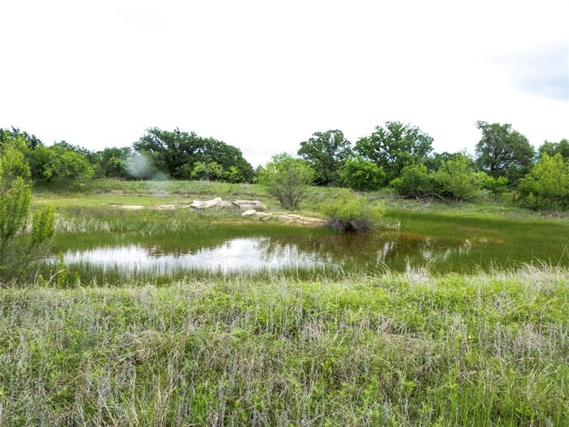12725 County Road 105, Brownwood TX 76801 - Photo 16
