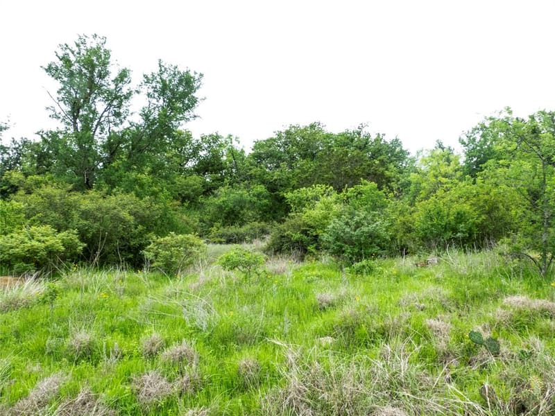 12725 County Road 105, Brownwood TX 76801 - Photo 12
