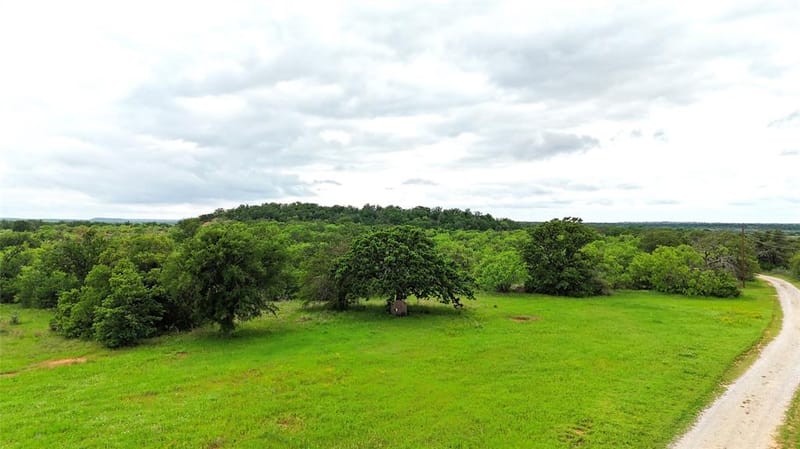 12725 County Road 105, Brownwood TX 76801 - Photo 7
