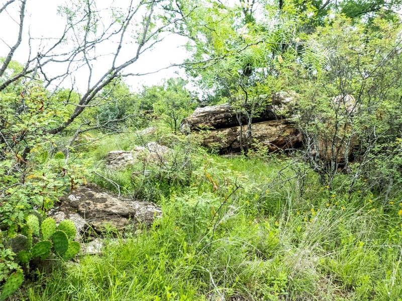 12725 County Road 105, Brownwood TX 76801 - Photo 20
