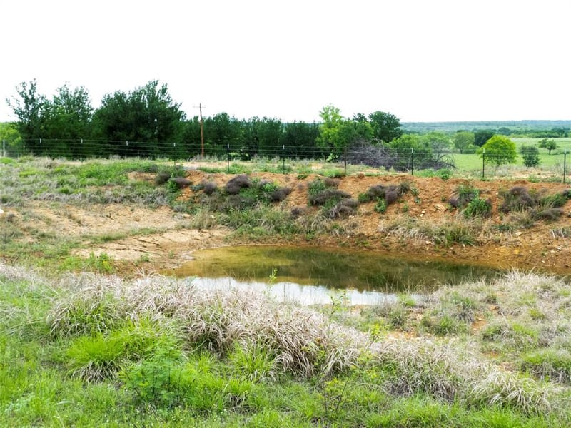 12725 County Road 105, Brownwood TX 76801 - Photo 14