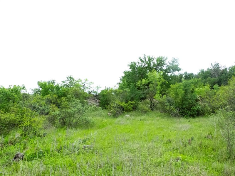 12725 County Road 105, Brownwood TX 76801 - Photo 19