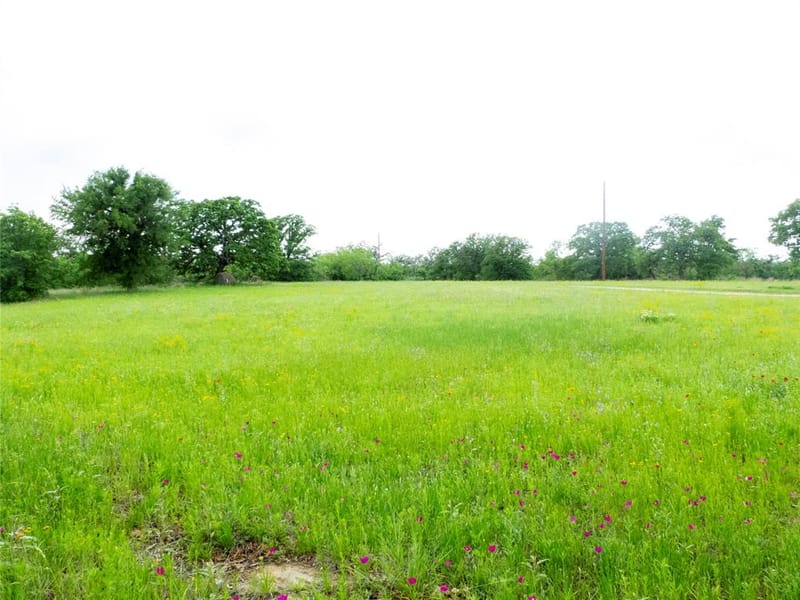 12725 County Road 105, Brownwood TX 76801 - Photo 21