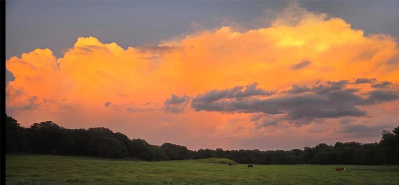 141 County Road 4793, Boyd TX 76023 - Photo 26