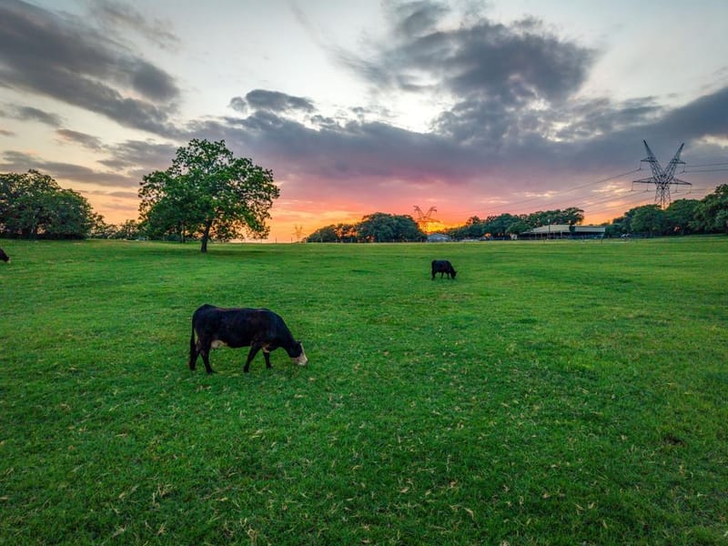 141 County Road 4793, Boyd TX 76023 - Photo 20