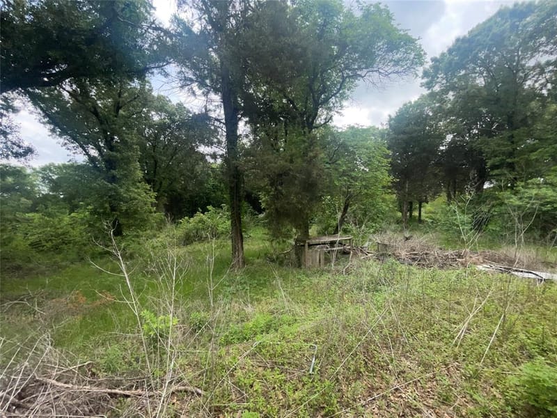 528 Vz County Road 1308, Canton TX 75103 - Photo 6