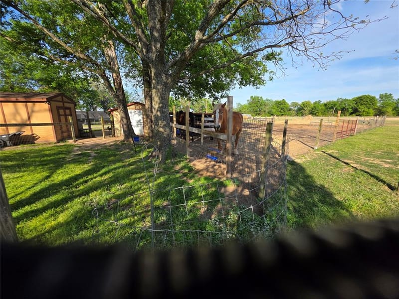 550 RS COUNTY ROAD 3425, Emory TX 75440 - Photo 6