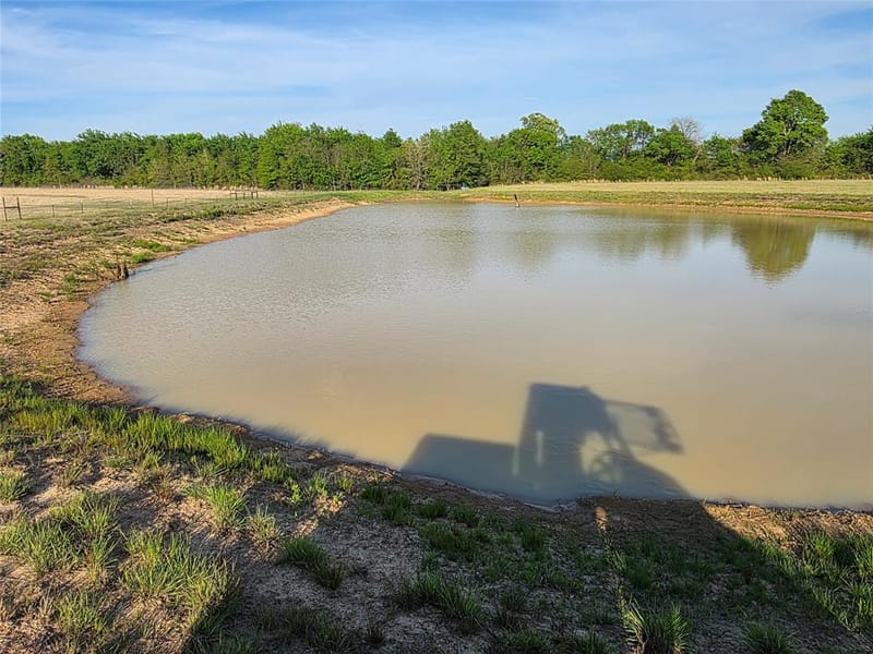 550 RS COUNTY ROAD 3425, Emory TX 75440 - Photo 24