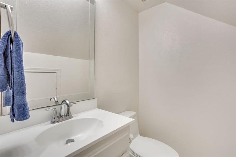 2317 Willow Oak Drive, Irving TX 75060 - Photo 21