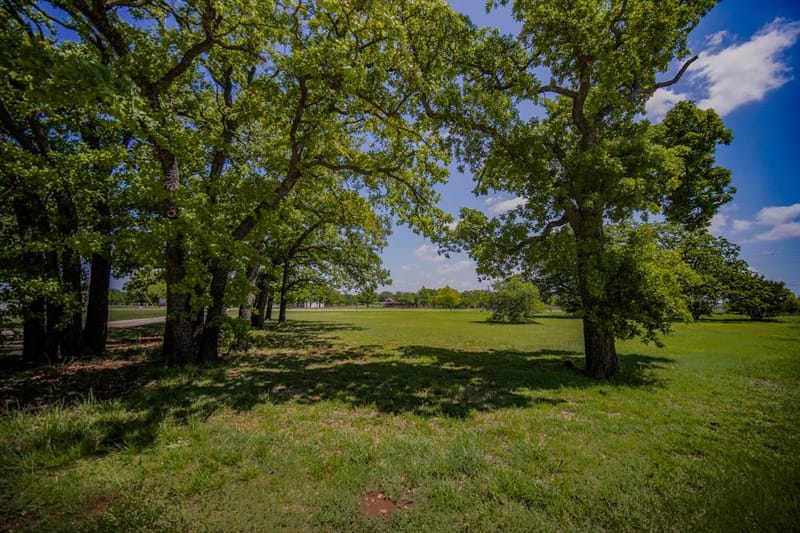 1201 Synterra Estates Loop, Jacksboro TX 76458 - Photo 35