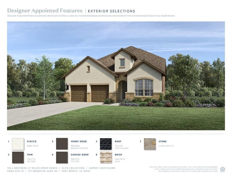 717 Mountain Aloe Drive, Fort Worth TX 76247 - Photo 6