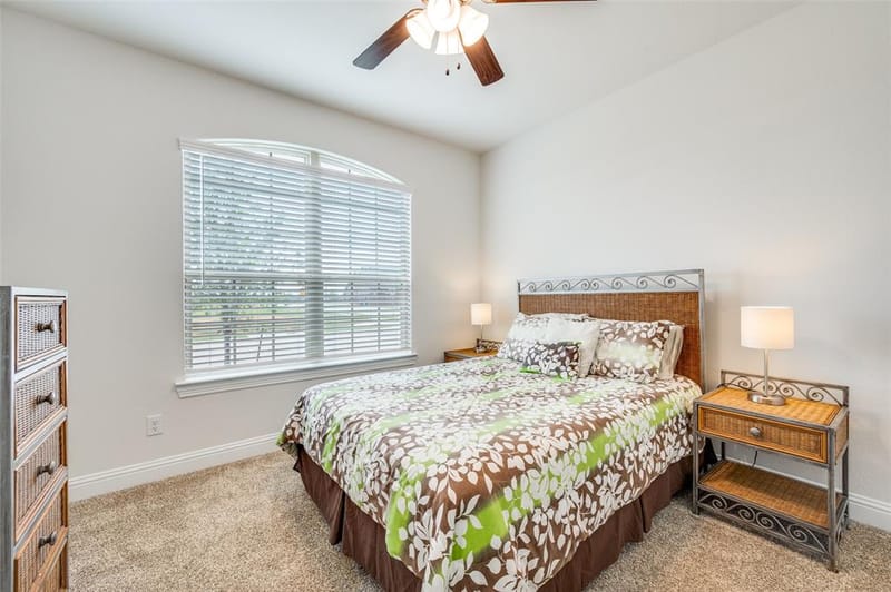 10509 Table Bluff Street, Aubrey TX 76227 - Photo 15
