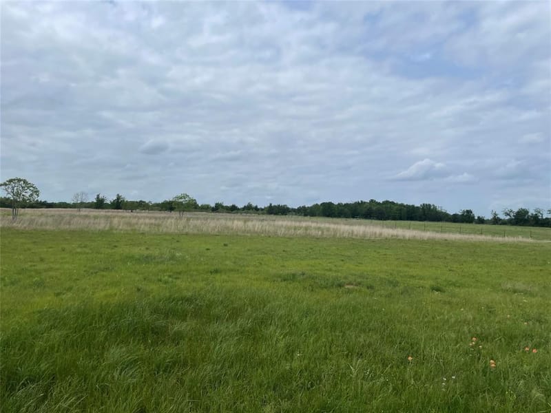 712 Vz County Road 3510, Wills Point TX 75169 - Photo 13