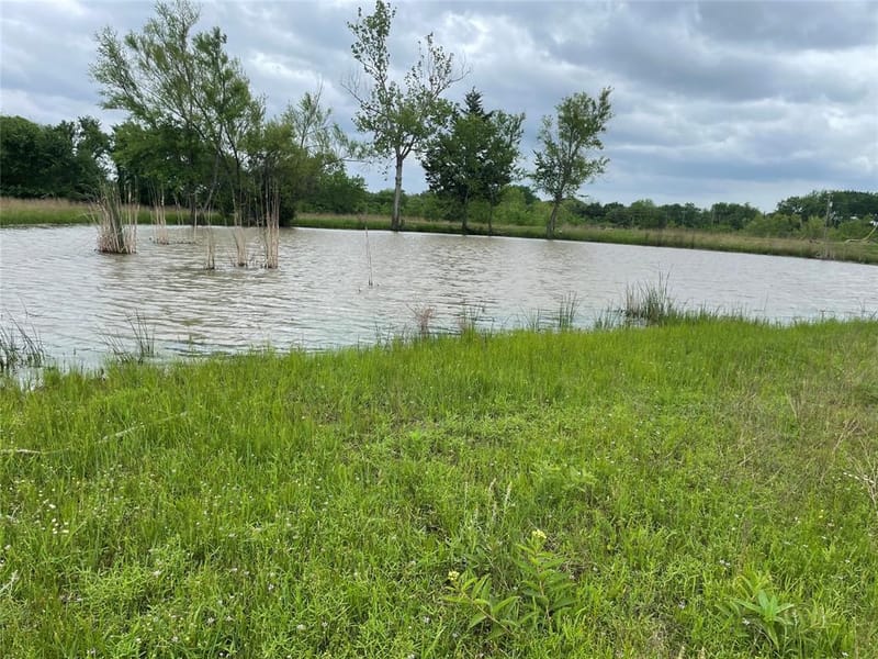 712 Vz County Road 3510, Wills Point TX 75169 - Photo 17