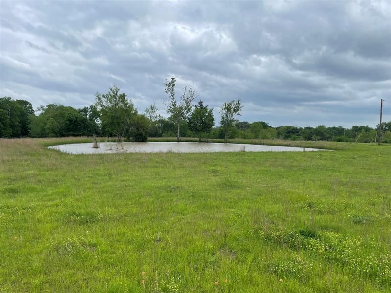 712 Vz County Road 3510, Wills Point TX 75169 - Photo 16