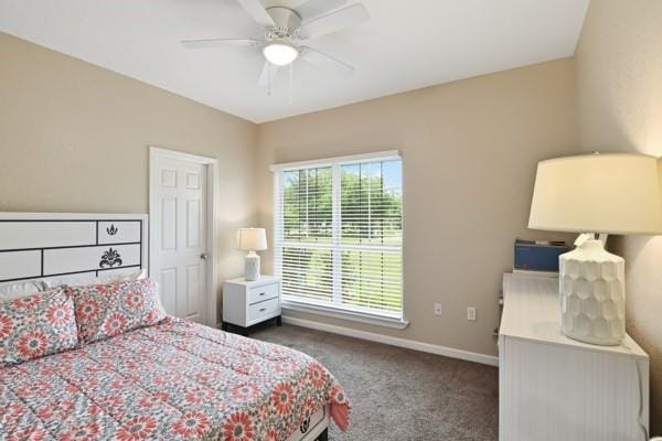 25452 Williams Drive, Justin TX 76247 - Photo 18