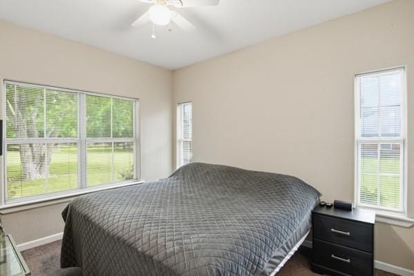 25452 Williams Drive, Justin TX 76247 - Photo 21