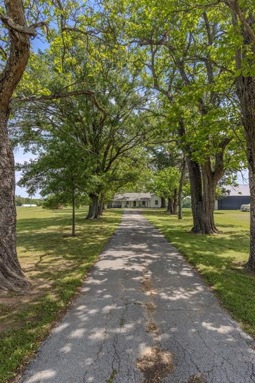 1100 Rs County Road 3150, Emory TX 75440 - Photo 4